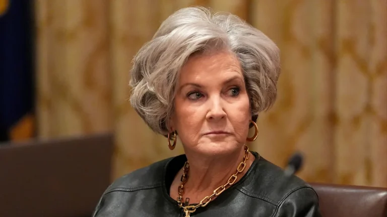 Susie Wiles Net Worth