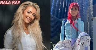 nala ray net worth